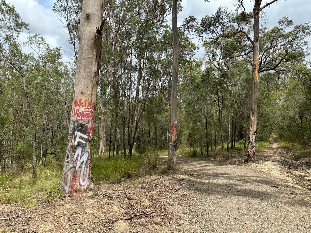 The tree-lined dirt path to Ernest Junction Railway Tunnel